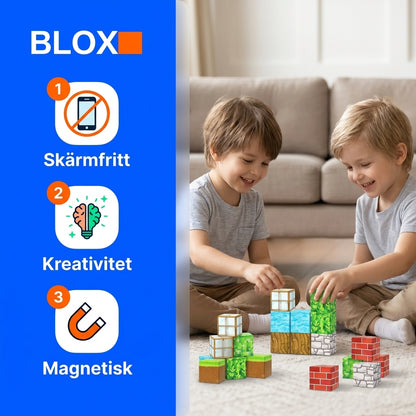 Bloxo Magnetiska Block