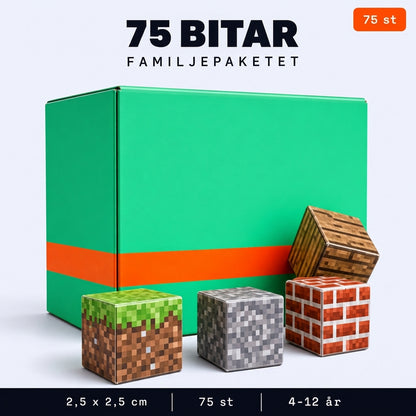 Bloxo Magnetiska Block